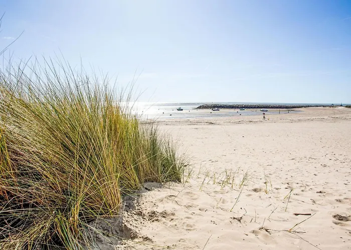 Rose-may By Interhome